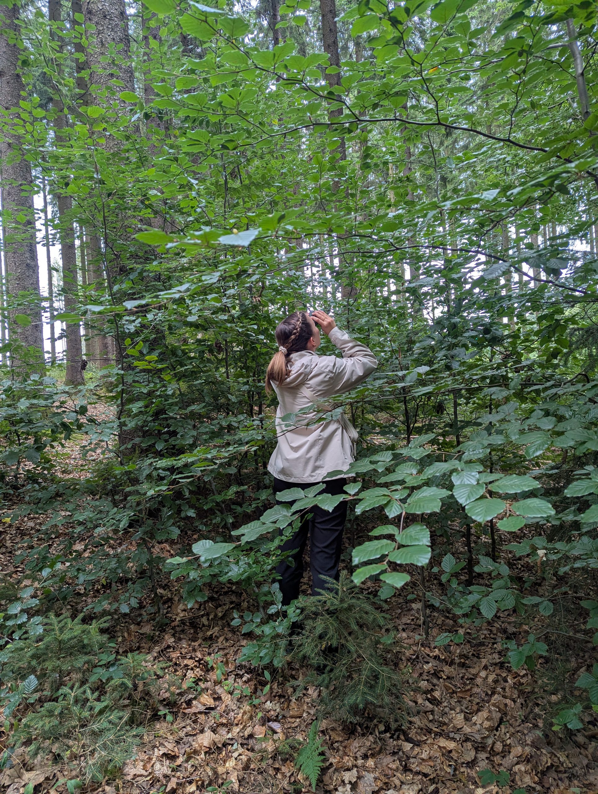 EscapeWoods Sauerland: Frau schaut mit Fernglas in den Wald.