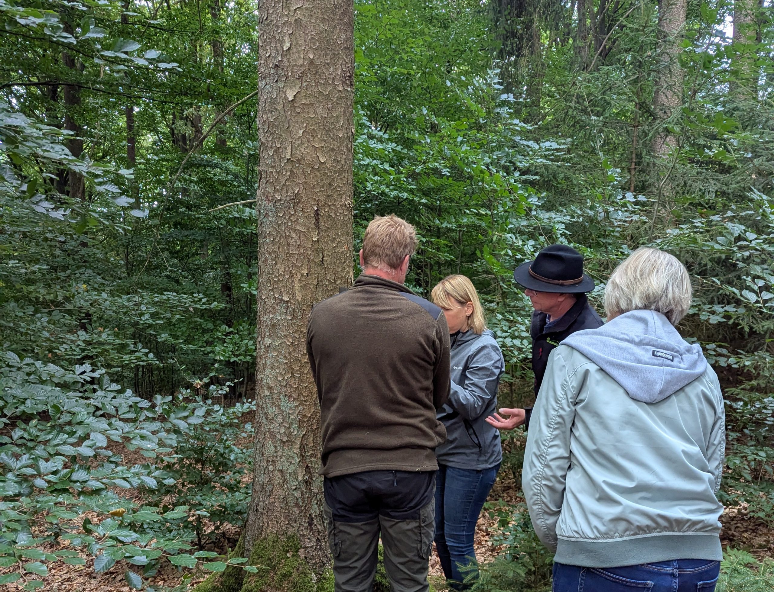 EscapeWoods Sauerland - Operation Schattenplatz: Ein Team schaut sich etwas im Wald genauer an.